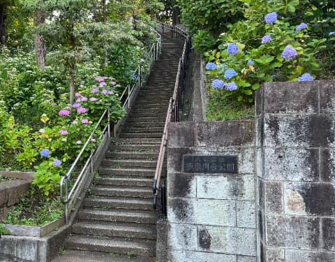 20250605多摩川台公園あじさい園入口