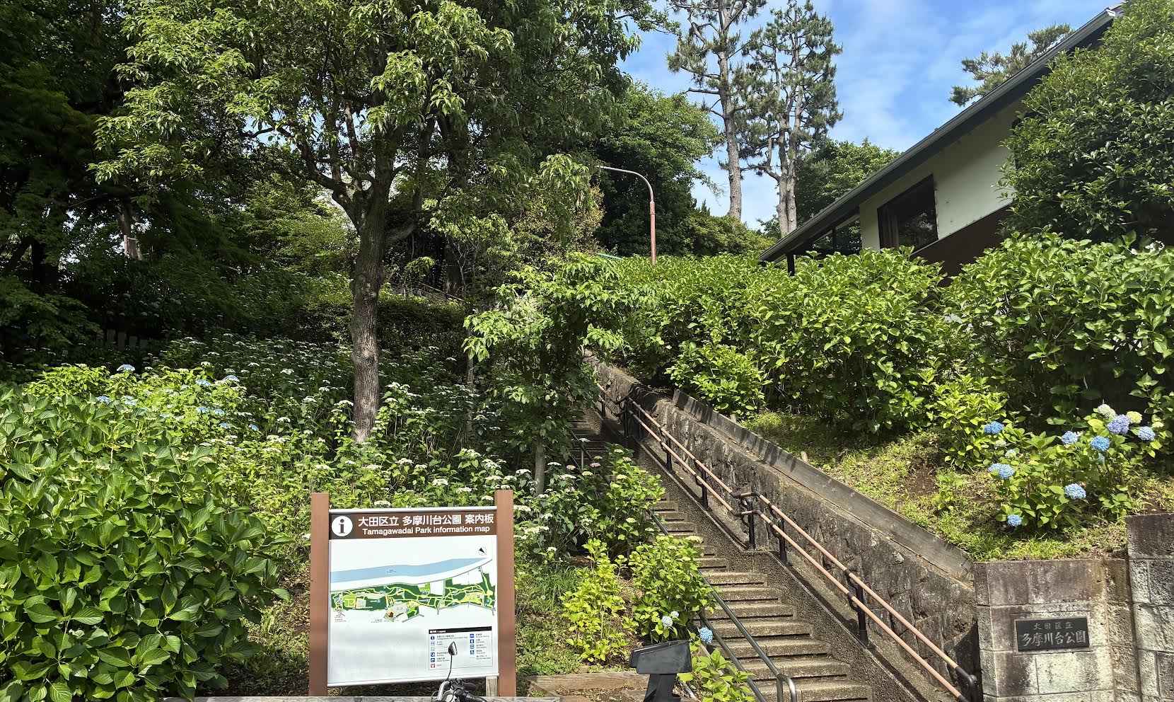 2026年5月24日多摩川台公園あじさい公園入口