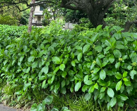 休憩所