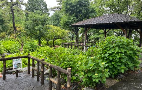 多摩川台公園東屋