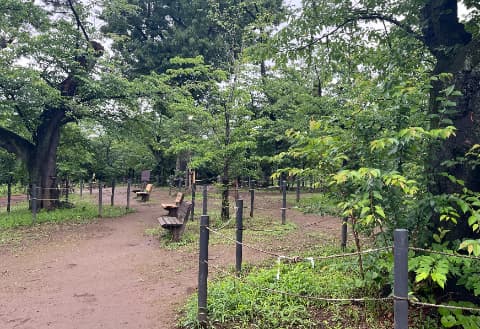 桜山山頂